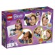LEGO Friends Vriendschapsdoos